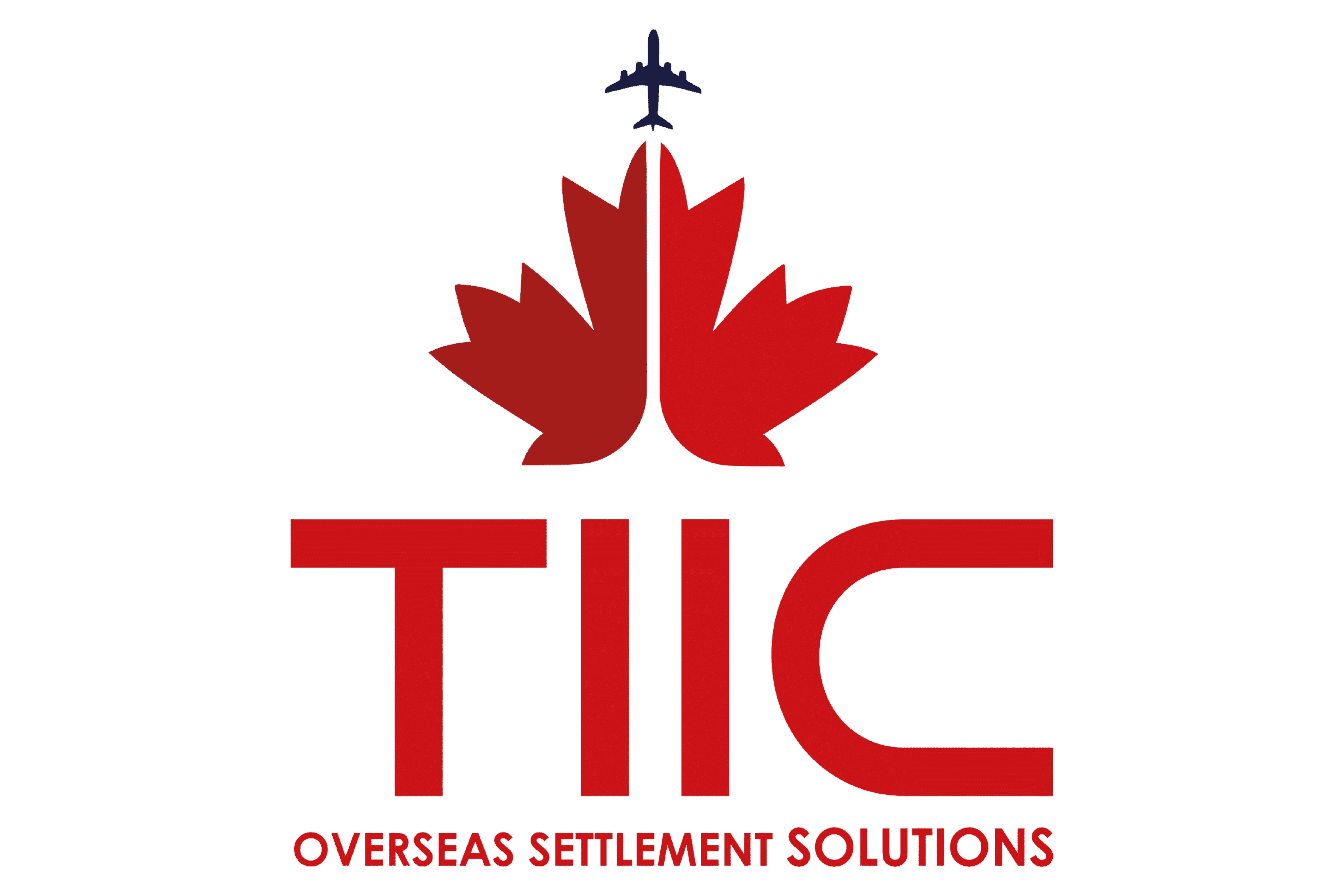 TIIC - Best Immigration Services in Chandigarh