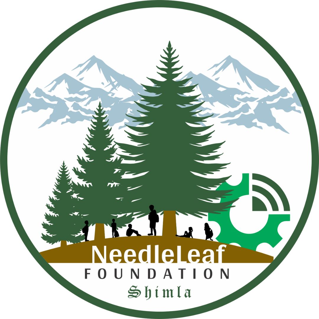 Needleleaf Foundation: A Future Built on Safety & Sustainability