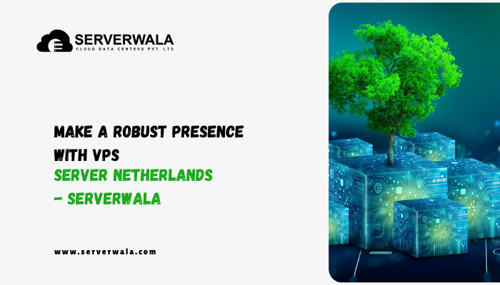 Make a Robust Presence with VPS Server Netherlands - Serverwala