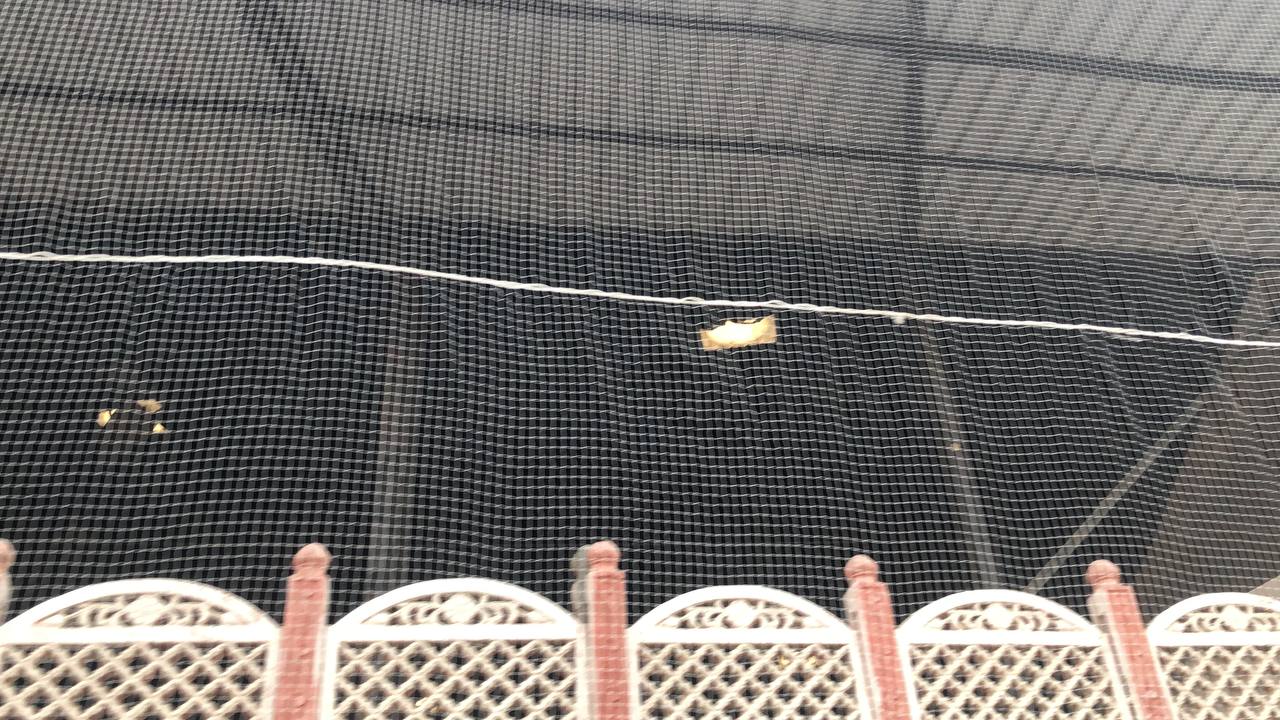 Np Mosquitonet