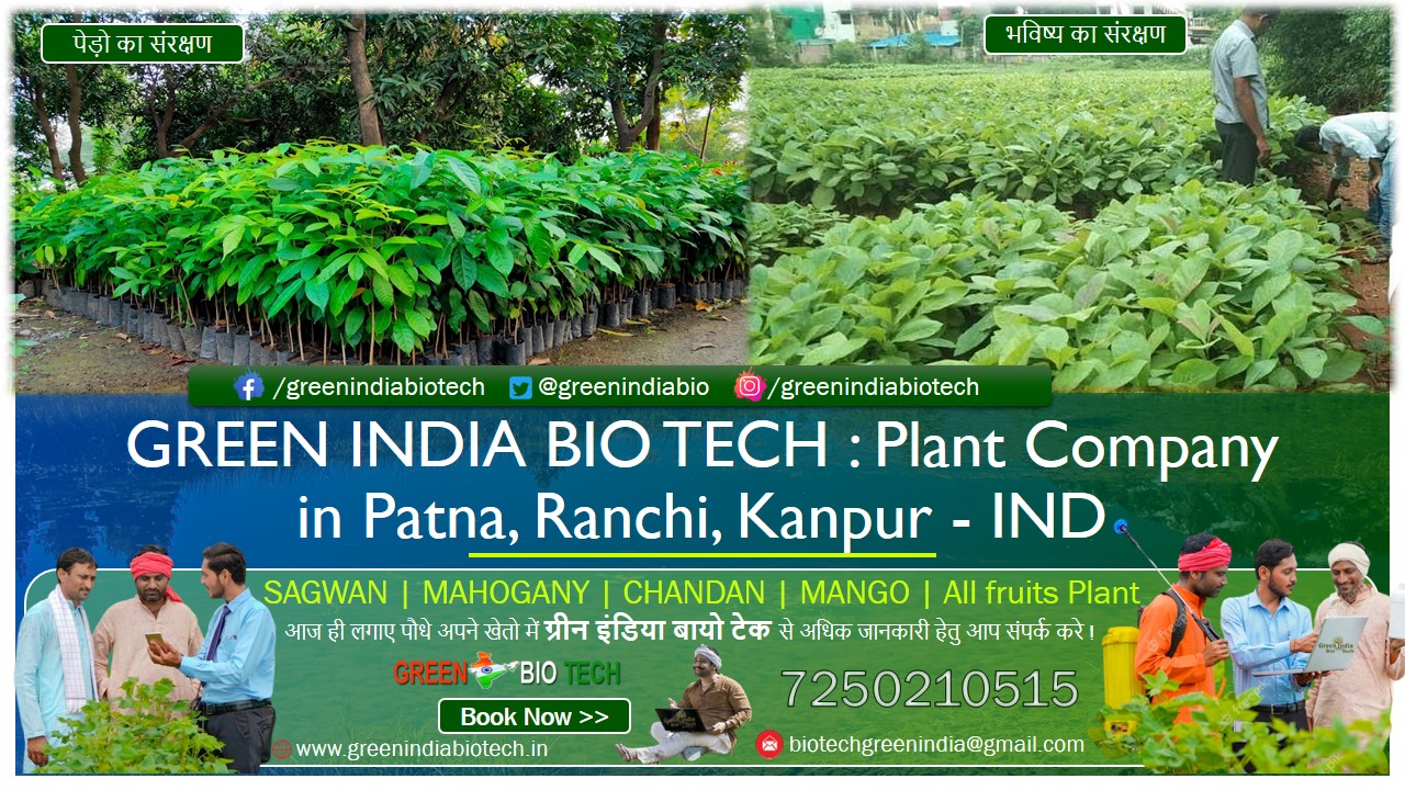 GREEN INDIA BIO TECH - BEST PLANT COMPANY & NURSERY