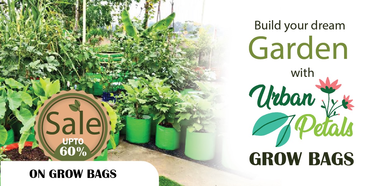 Grow Bags Online Shop - Urban Petals india