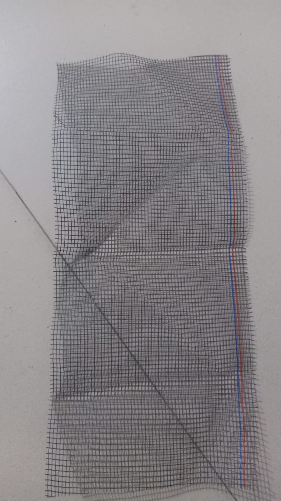 Indianbirdnetcompany