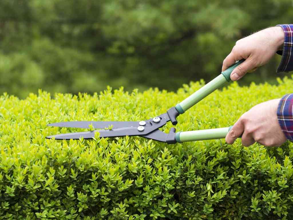 Lawn Care Nokesville, VA – Organic Lawn & Landscape Services