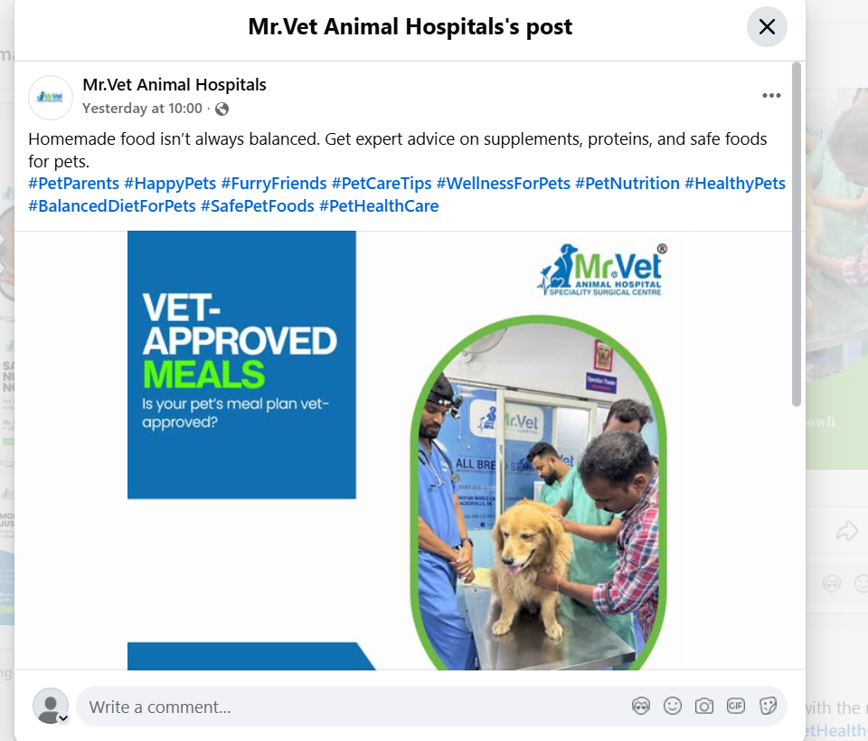 Vet-Approved Meals: Why Your Pet’s Nutrition Needs Expert Care from a Hyderabad Veterinary Hospital