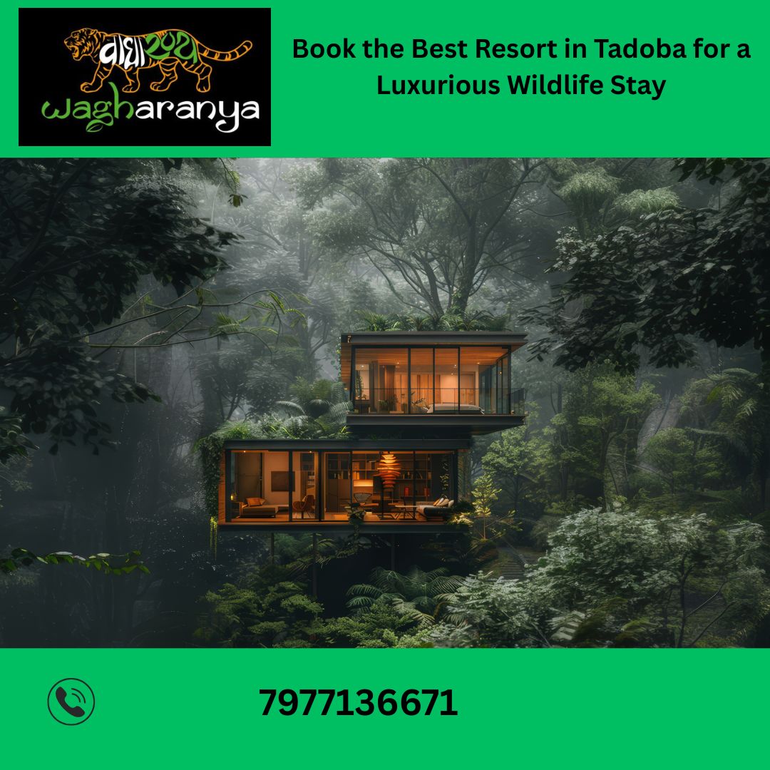 Book the Best Resort in Tadoba for a Luxurious Wildlife Stay