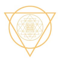 Best Astrologers in Kolkata