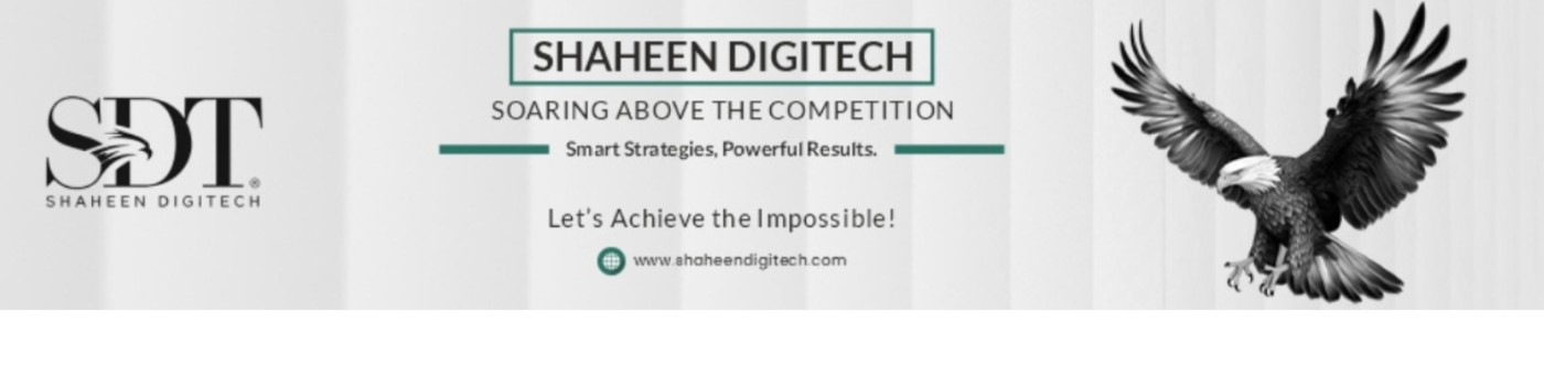 Seo Expert - Qazi Tabish Shaheen Digitech india
