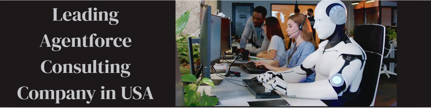 Girikon - Certified Agentforce Consulting Partner in the USA