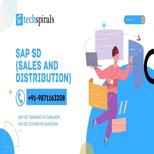 Best SAP SD Training Institute In Gurgaon