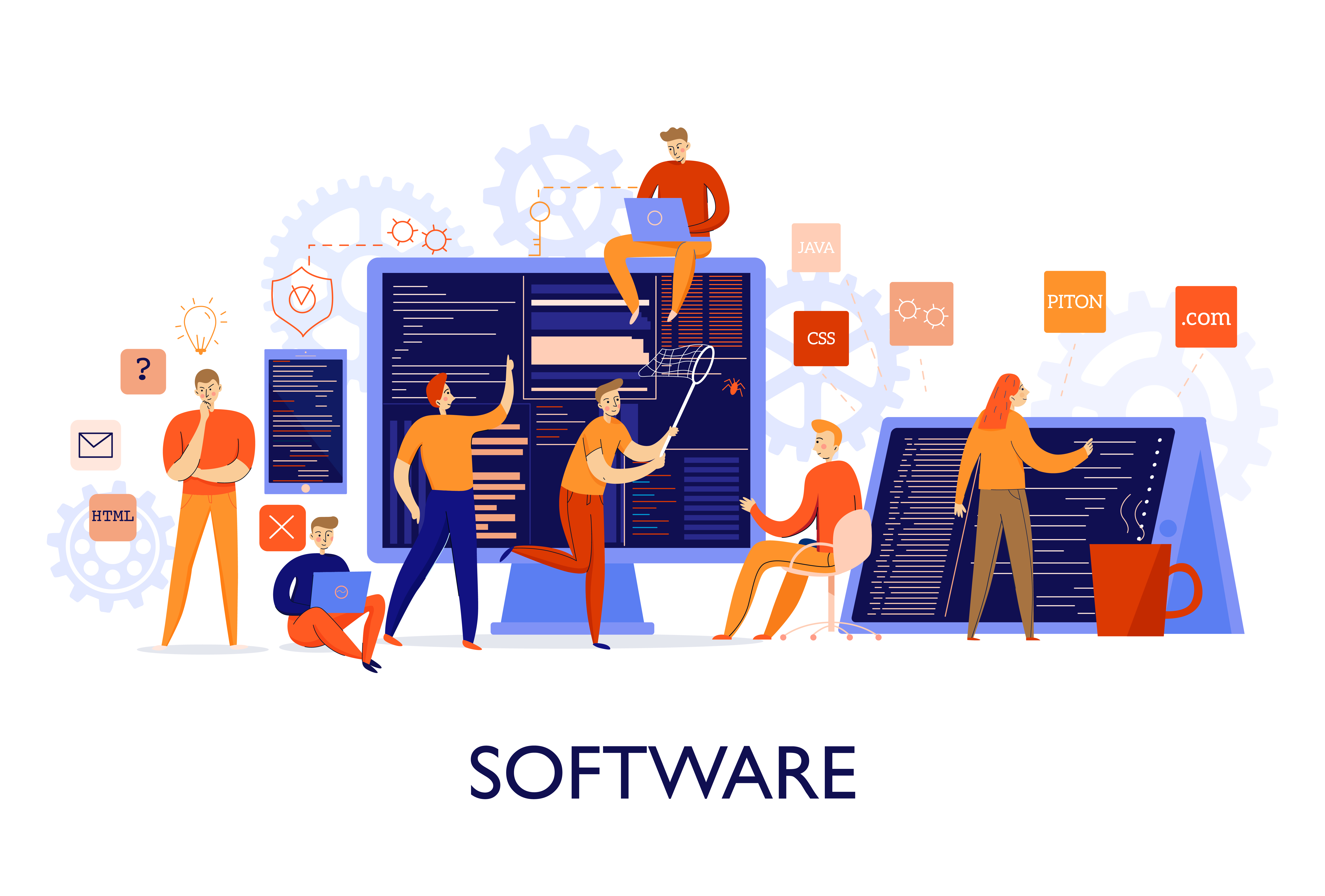 Software development services in India | BMVSI