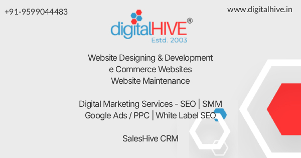 Boost Your Brand with Affordable SEO Packages by Digital Hive
