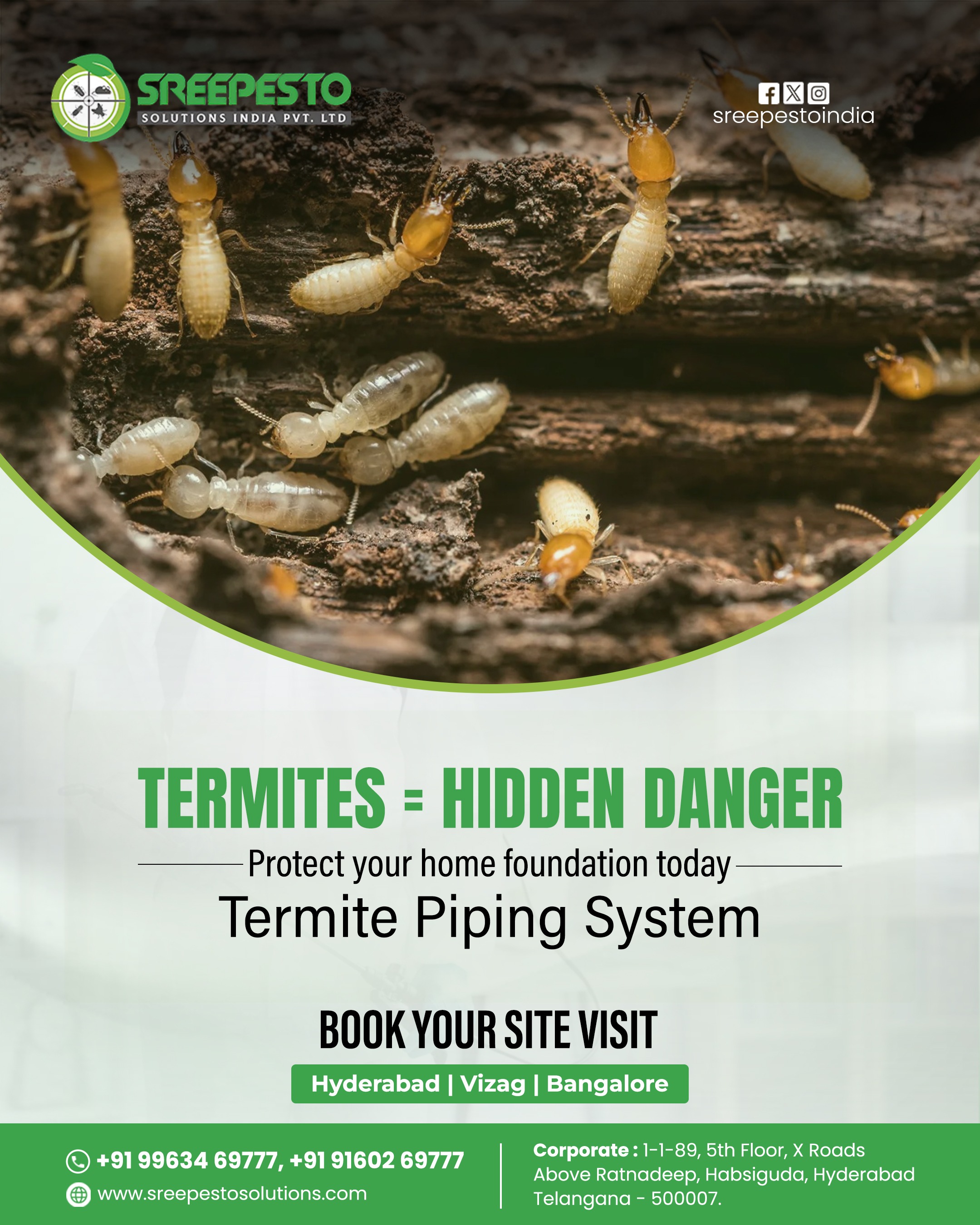Termite Pest Control Services in Hyderabad