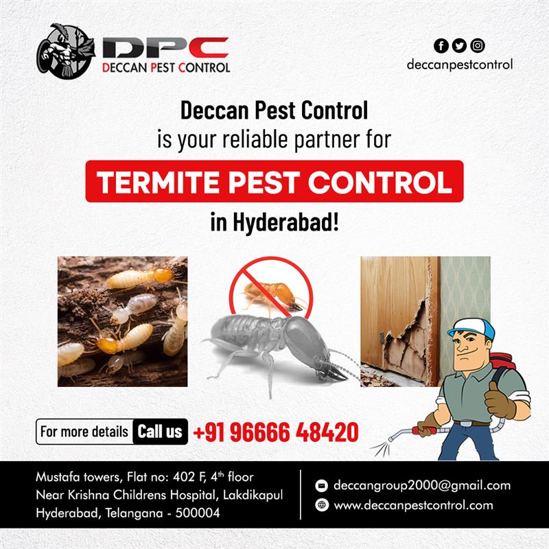 Termite Pest Control Service in Secunderabad