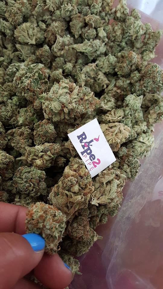 Order Weed Online in Europe legally