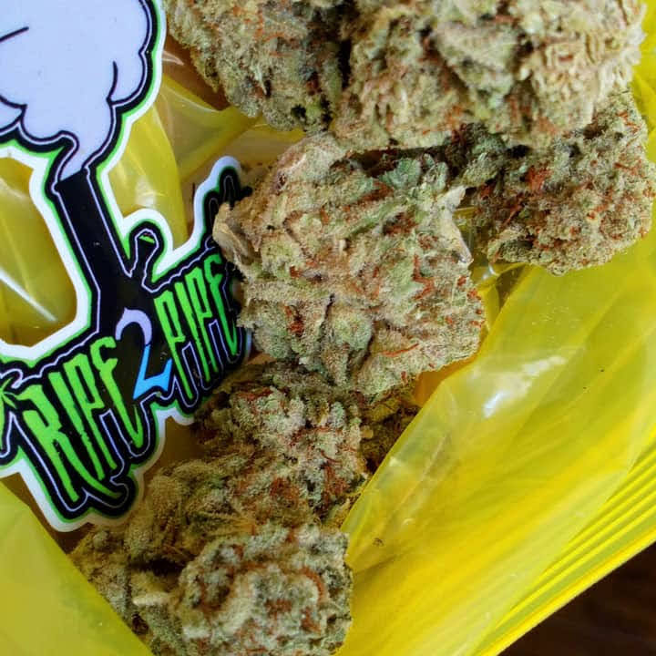 Which states sell marijuana legally