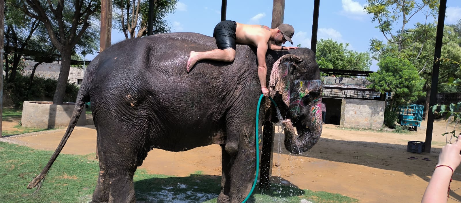 Experience Majestic Elephant Adventures in Jaipur with Elefriendride!