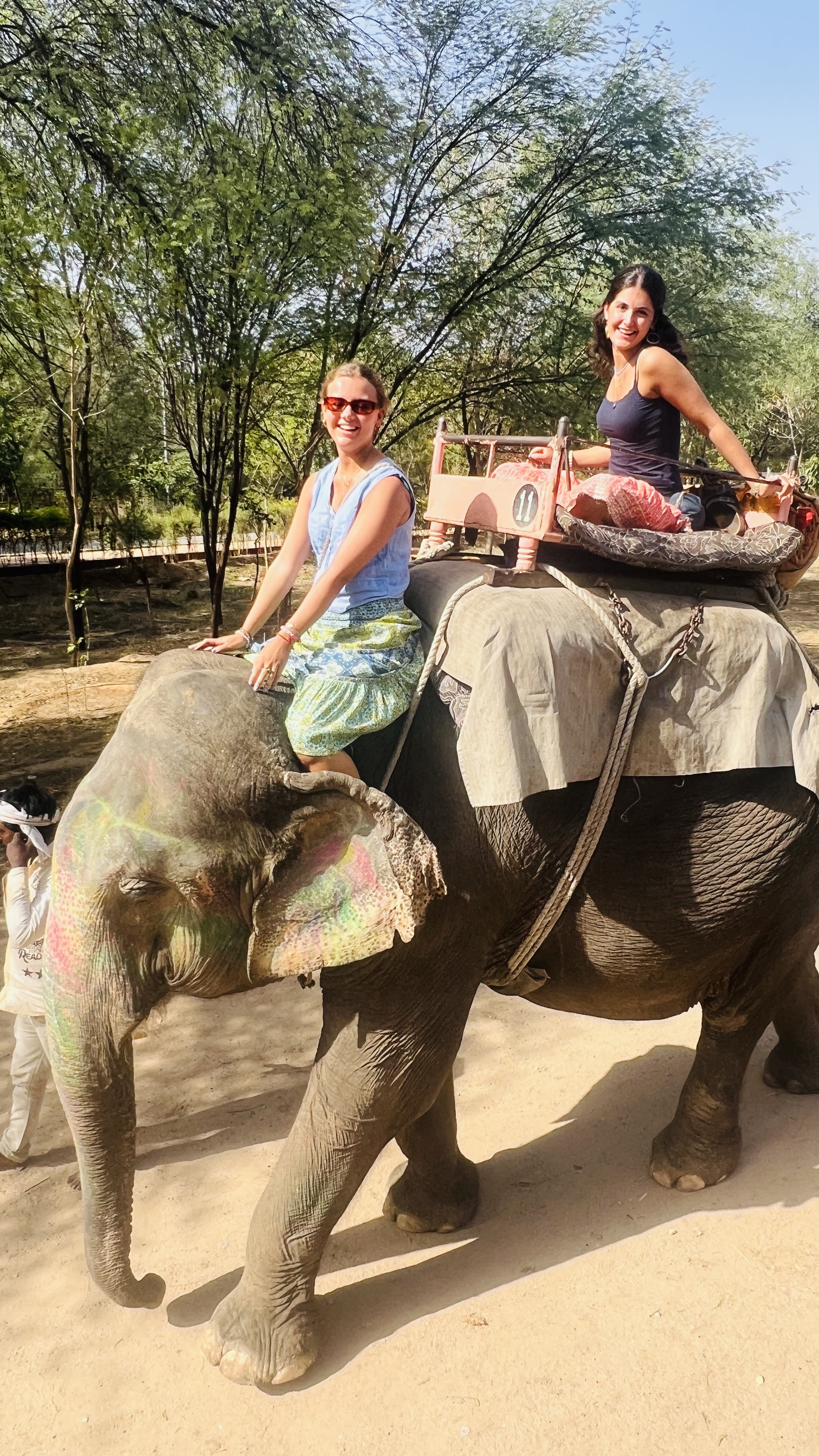 Discover Jaipur's Enchanting Elephants with Elefriendride!