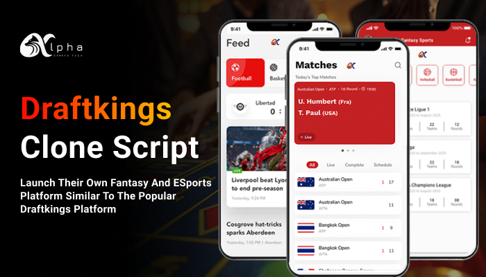 Why Choose This DraftKings Clone Script for Building Your Fantasy Sports Website?