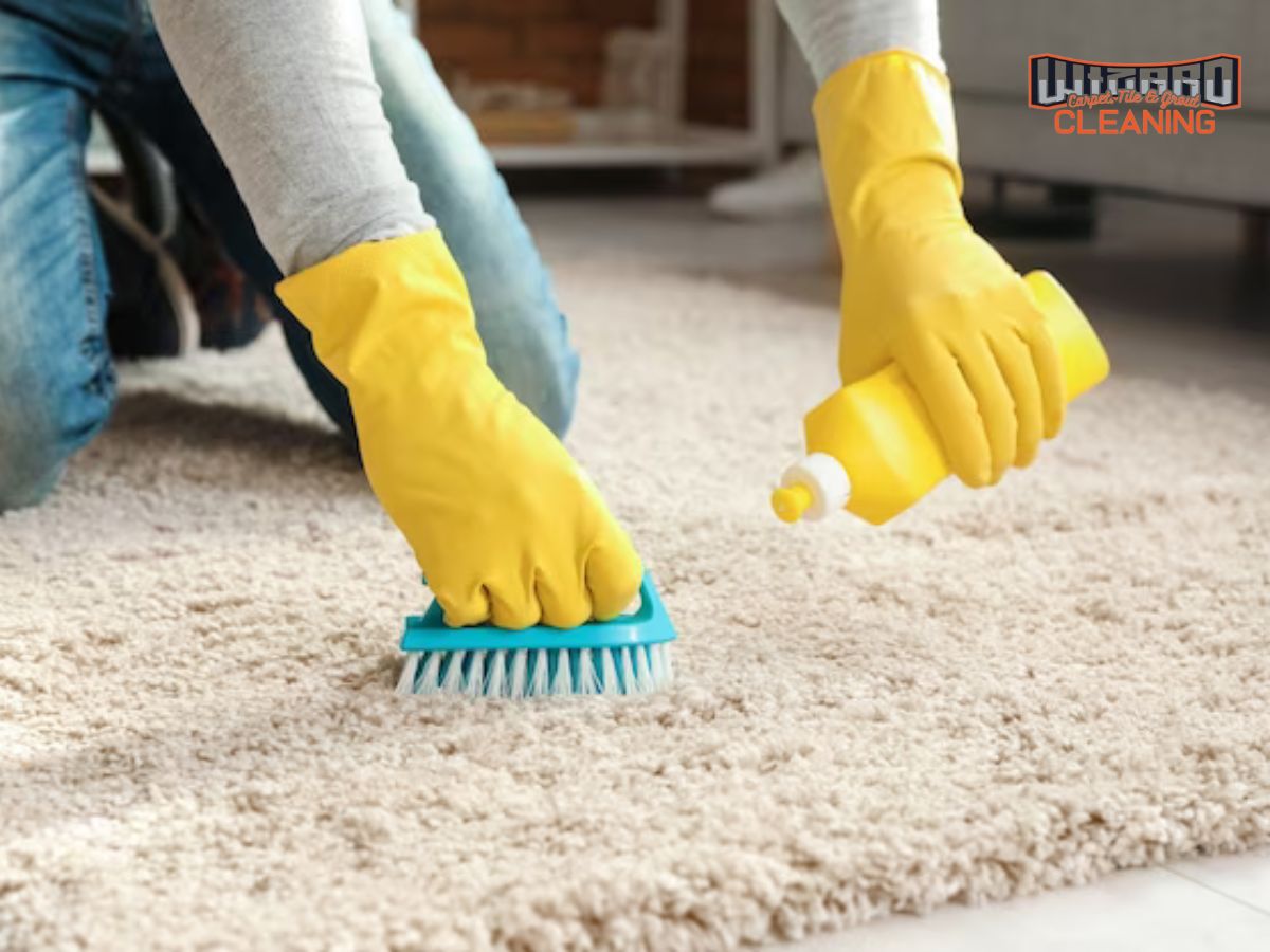 Revive Your Carpets with Wizard Cleaning: Melbourne's Premier Carpet Cleaning Service!