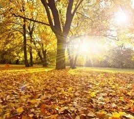 The Future of Work: Navigating Career Vocational Counseling Philadelphia