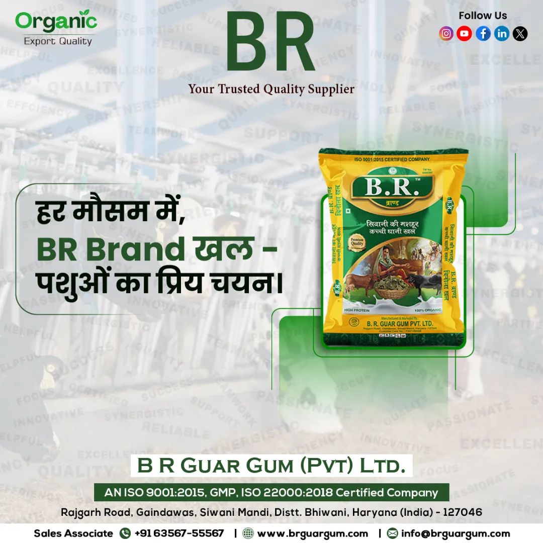 Binola Khal in Haryana