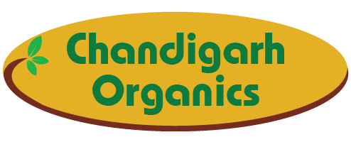 Online Organic Food Products