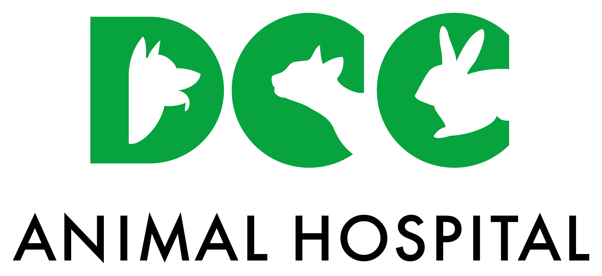Best Vet Near Me - DCC Animal Hospital