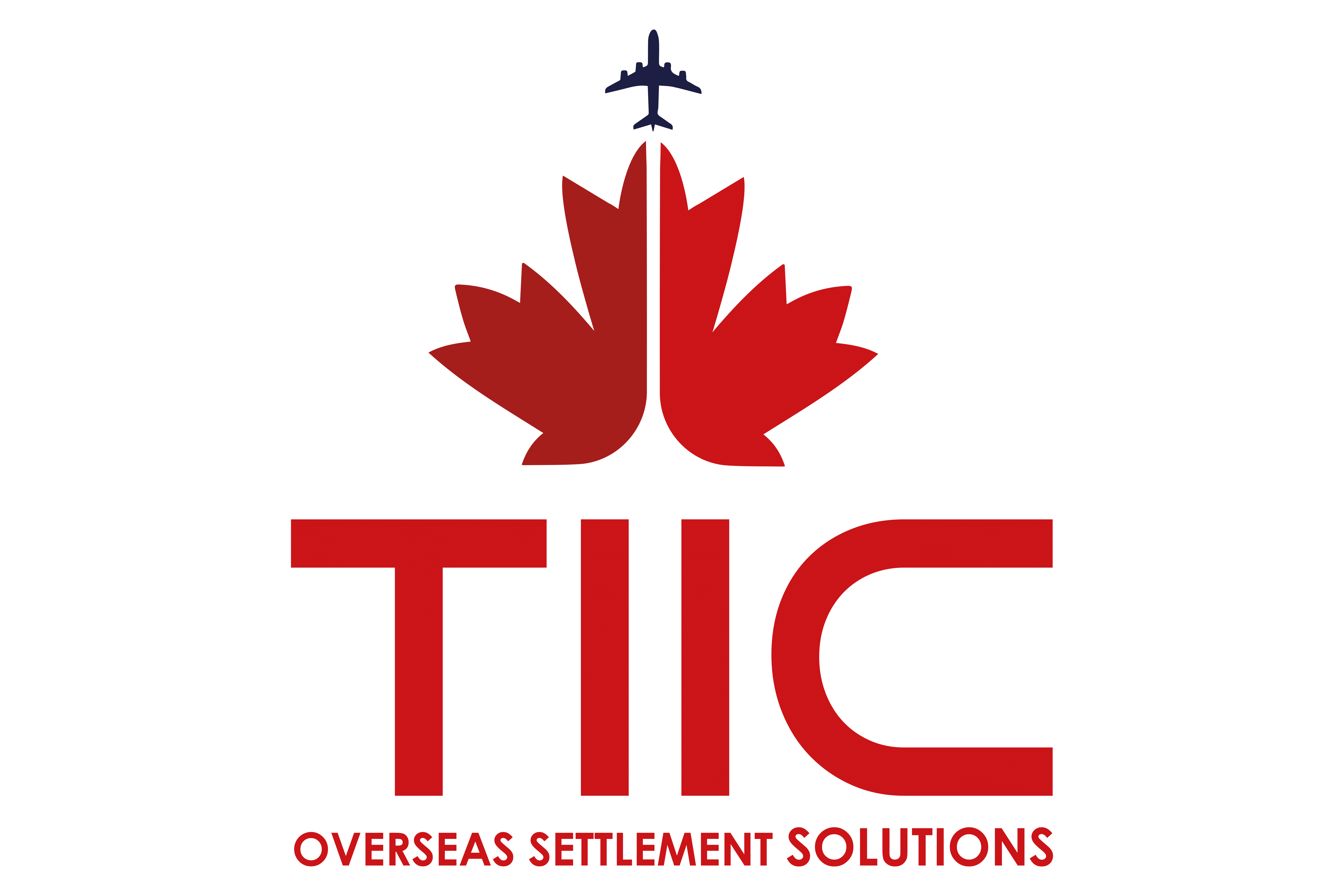 Best Immigration Consultants in Chandigarh - TIIC
