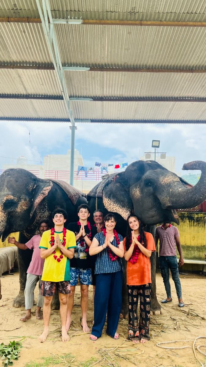 Elephant Rides & Sanctuary Experiences in Jaipur with Elefriendride
