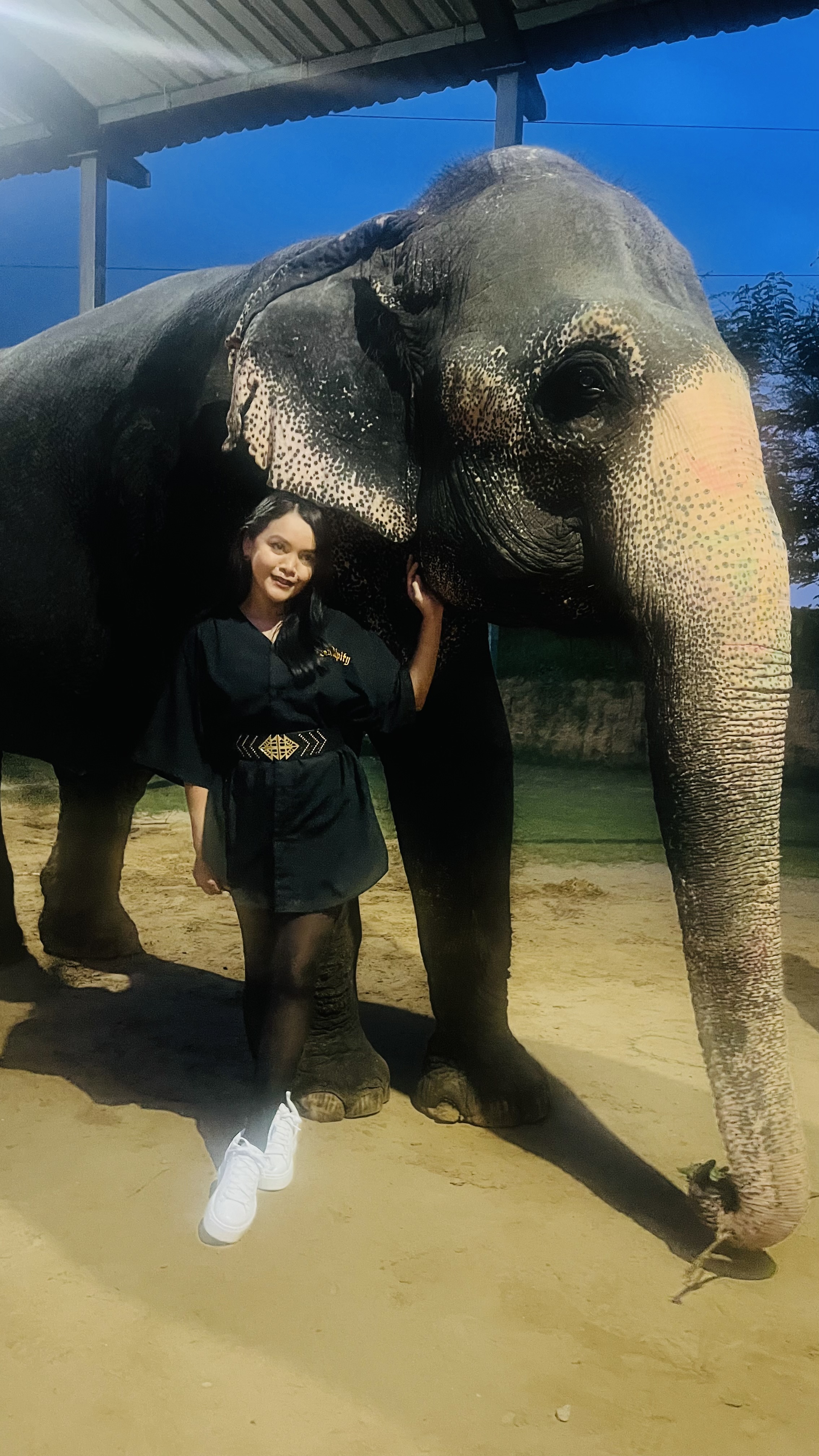 Elefriendride Best Elephant Experiences in Jaipur