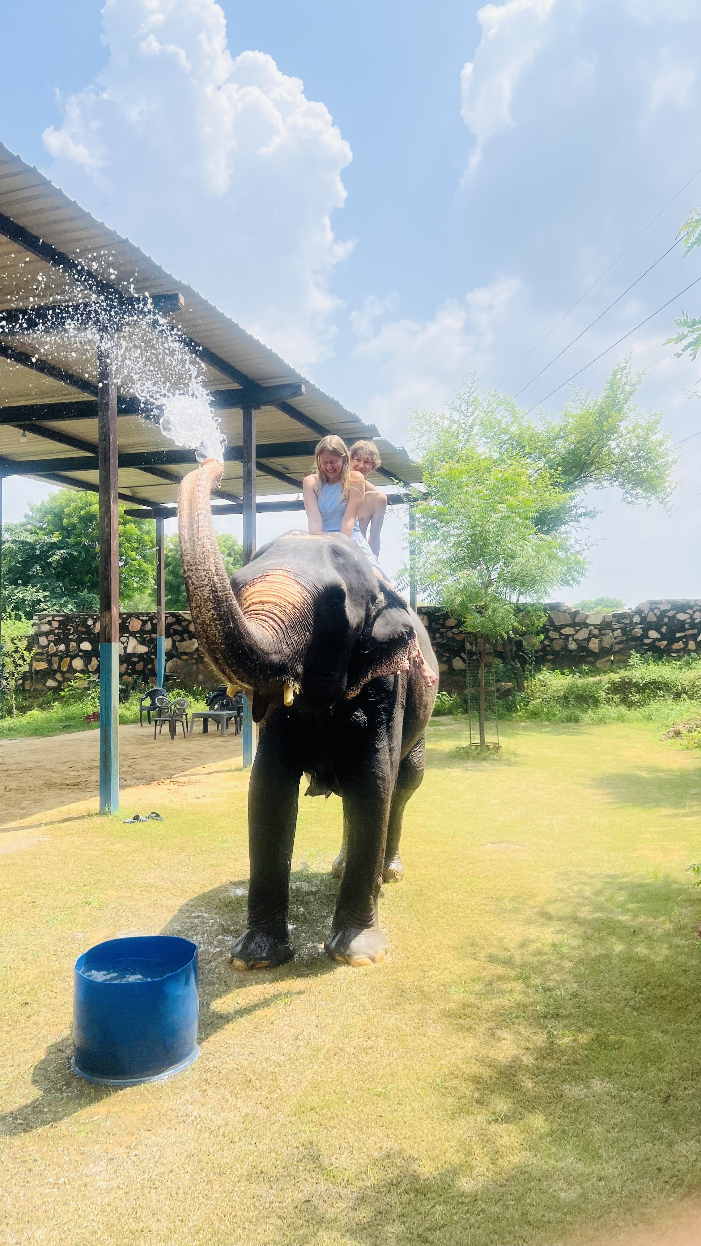 Explore Elephants in Jaipur with Elefriendride!