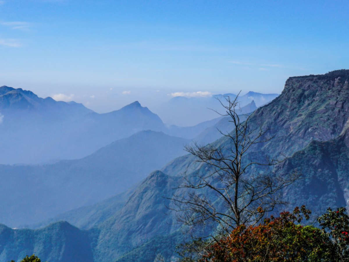 Ooty Tour Packages: Best Tour Packages for Every Kind of Traveler!