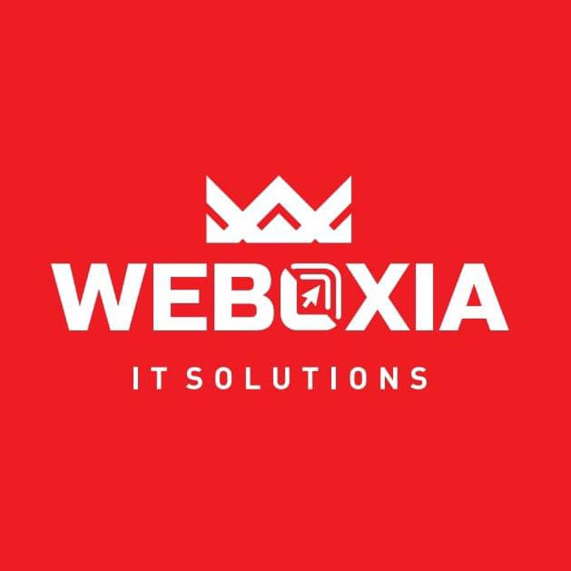 Weboxia IT Solutions - Best Digital Marketing Company in Kannur, Kerala