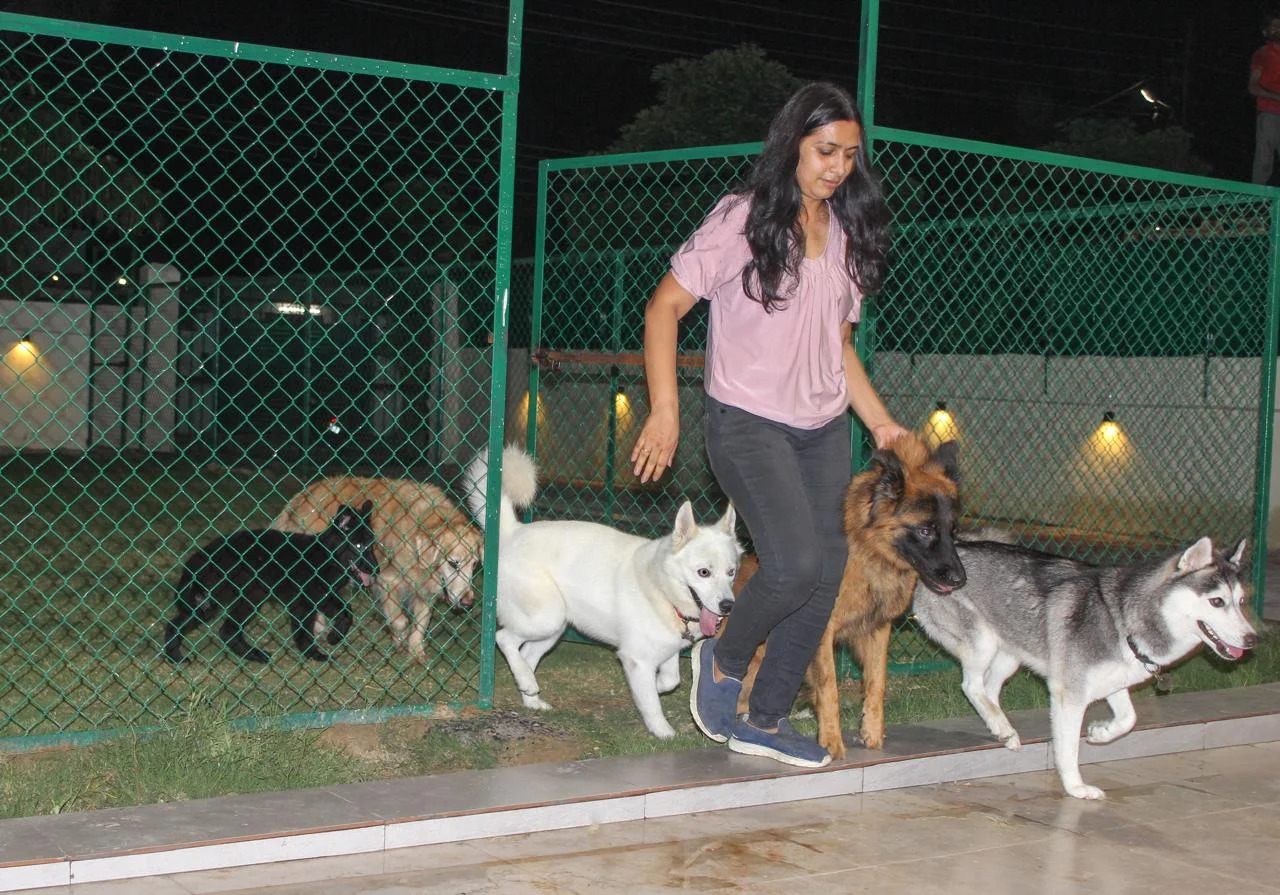 Dog Boarding in Noida - Poochkins