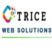 TRICE WEB SOLUTRION