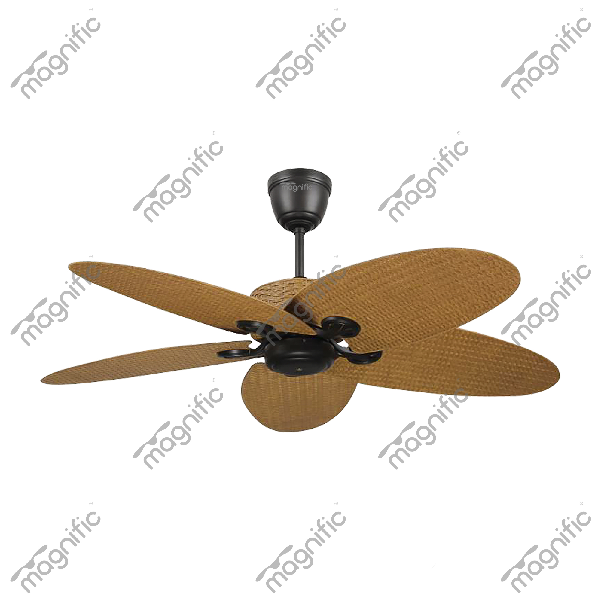 Unique Ceiling Fans With Lights - Magnific Home Appliances
