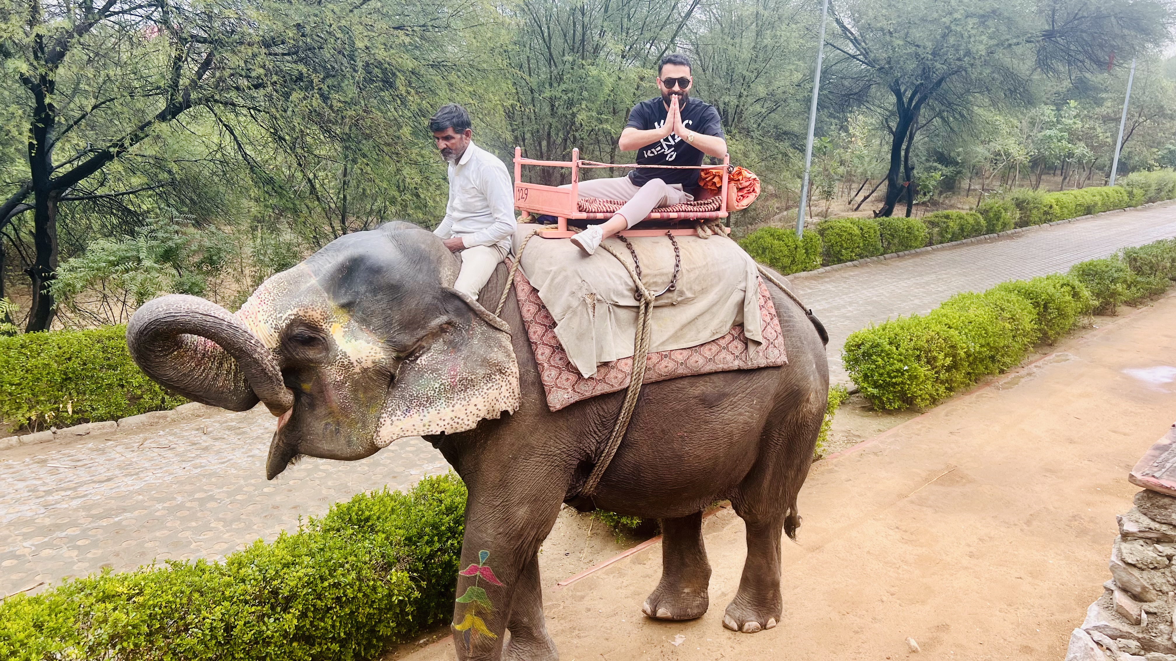 Elephant Ride in Jaipur with Elefriendride