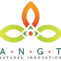 Green Chilli Paste in Every Dish | Angtnonions