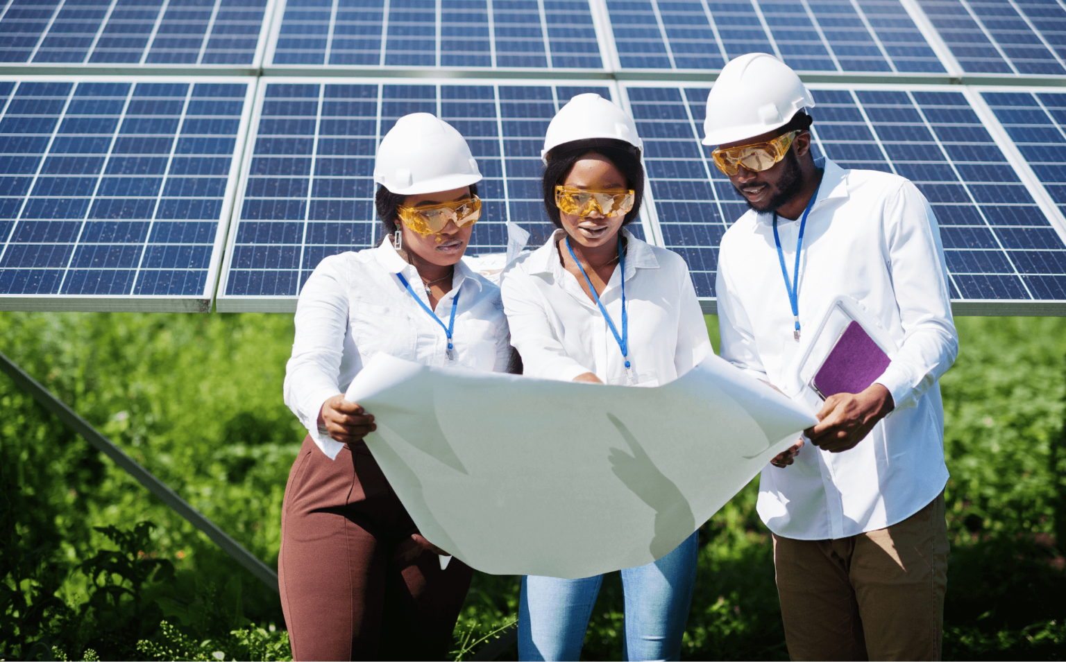 Your Professional Solar Cleaning Solution
