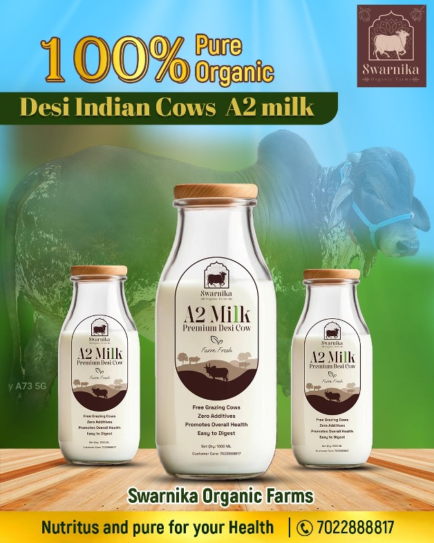 Buy A2 cow milk online In Bangalore – 100% organic