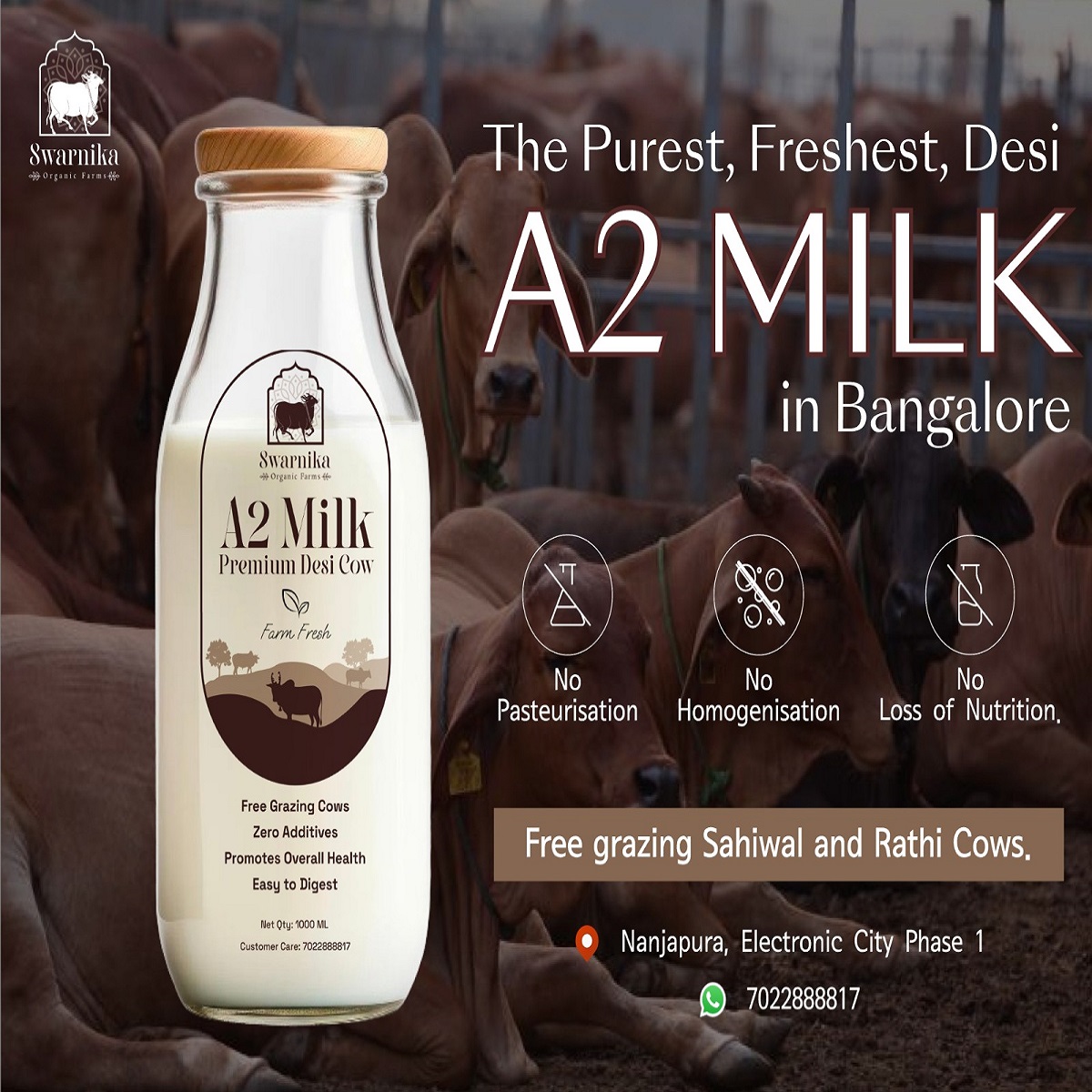 Organic A2 cow milk delivery in Bengaluru