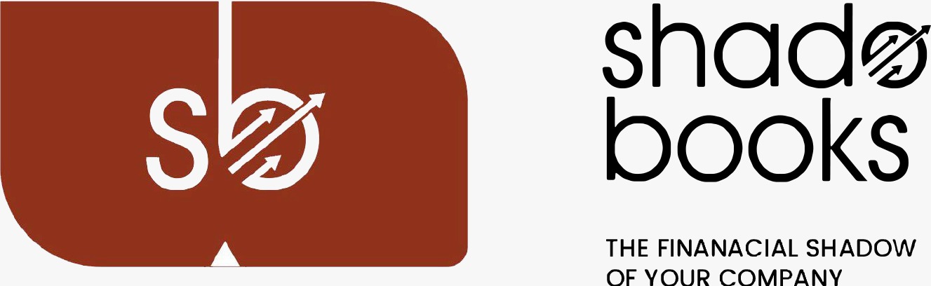 Financial Reporting Software