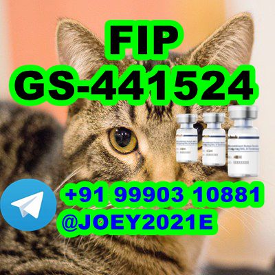 GS-441524 cat Fip Feline Infectious Peritonitis