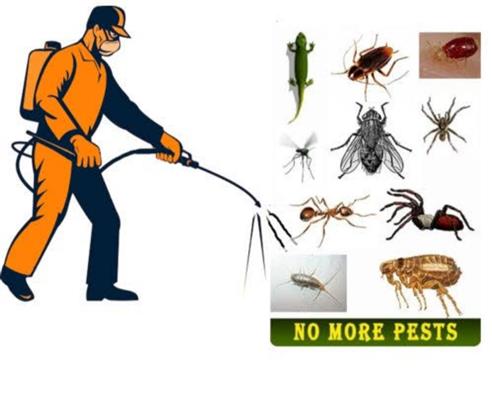 pushpa pest control service