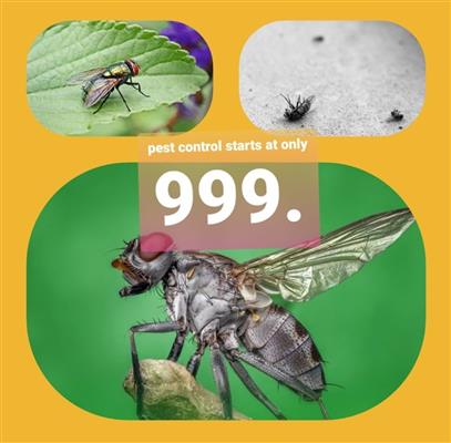 pushpa pest control service