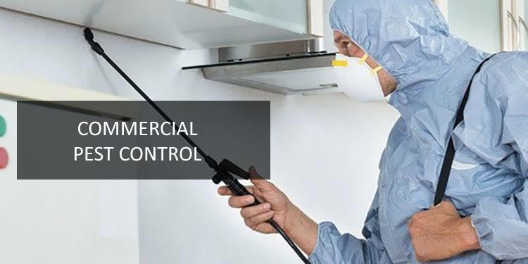 pushpa pest control service