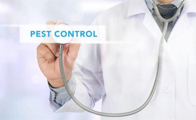 pushpa pest control service