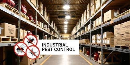 pushpa pest control service