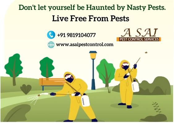 a sai pest control